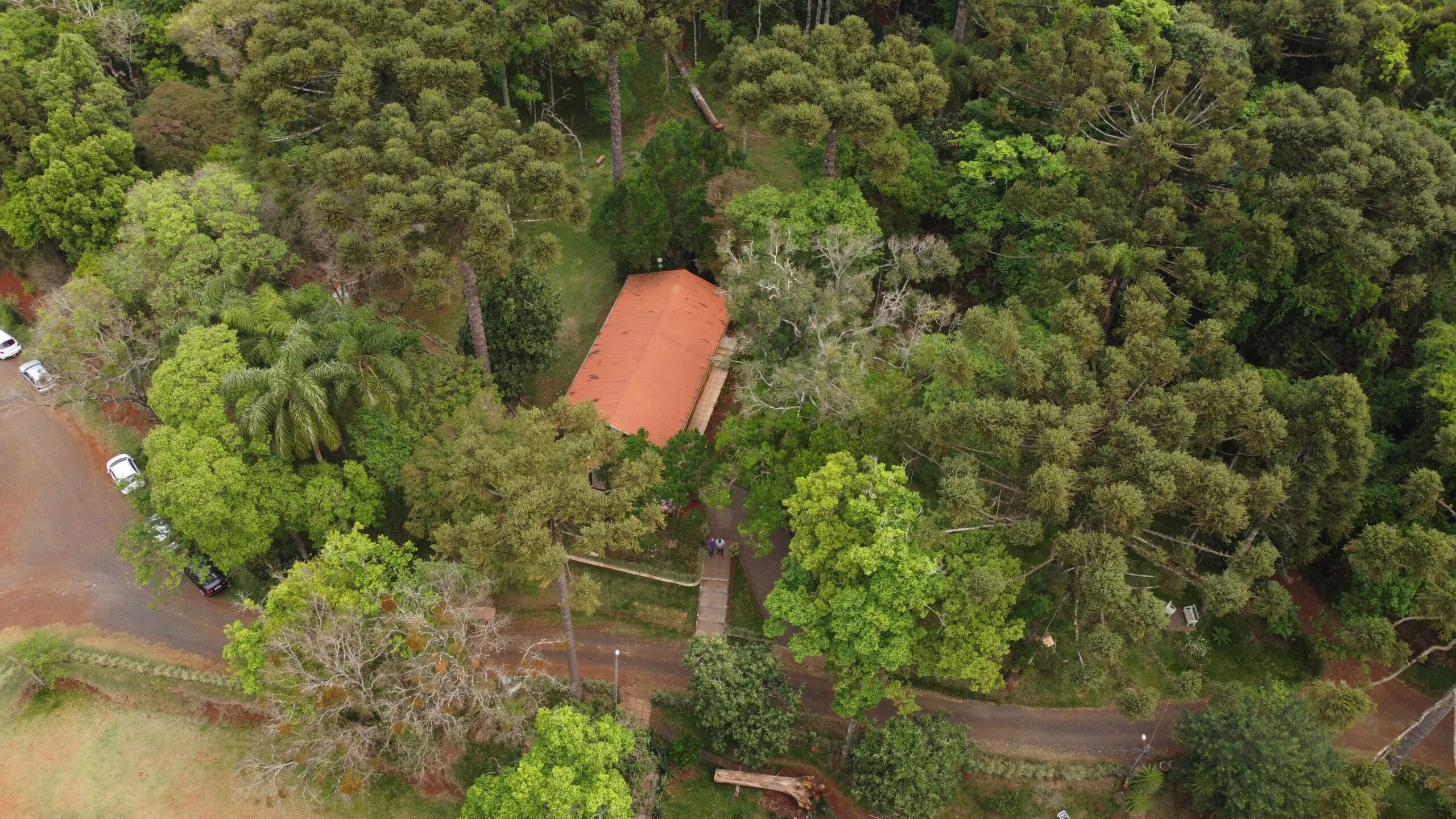 DJI_0009